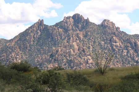 Flat-Buildable Lot in Dragoon Mountain Ranch - image 27