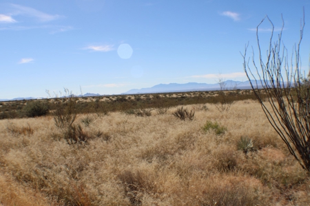 Flat-Buildable Lot in Dragoon Mountain Ranch - image 6