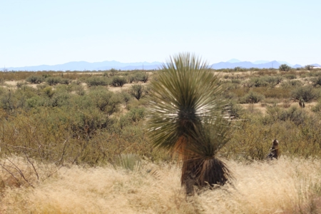 Flat-Buildable Lot in Dragoon Mountain Ranch - image 13
