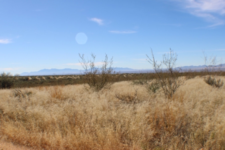 Flat-Buildable Lot in Dragoon Mountain Ranch - image 8