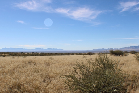 Flat-Buildable Lot in Dragoon Mountain Ranch - image 24