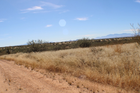 Flat-Buildable Lot in Dragoon Mountain Ranch - image 7