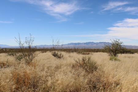 Flat-Buildable Lot in Dragoon Mountain Ranch - image 9