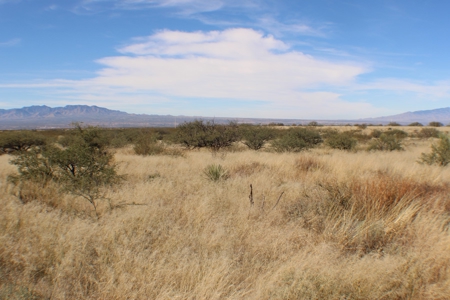 Flat-Buildable Lot in Dragoon Mountain Ranch - image 2