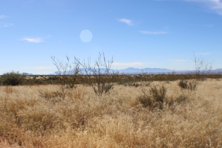 Flat-Buildable Lot in Dragoon Mountain Ranch - image 17