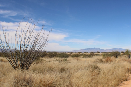 Flat-Buildable Lot in Dragoon Mountain Ranch - image 19