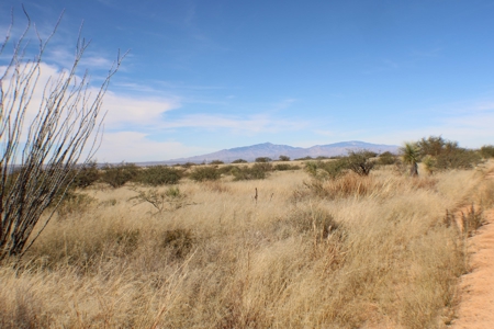 Flat-Buildable Lot in Dragoon Mountain Ranch - image 12