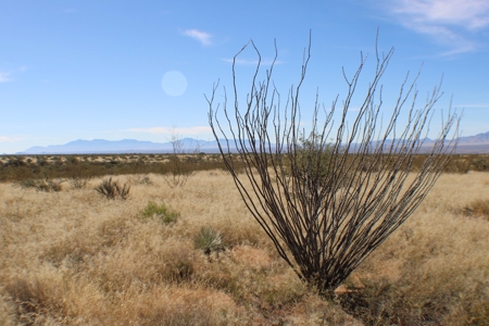 Flat-Buildable Lot in Dragoon Mountain Ranch - image 5