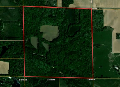 160 Acres Jasper County, IL - image 1