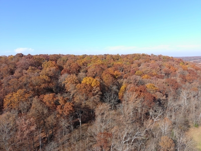 Missouri Hunting Property For Sale - image 8