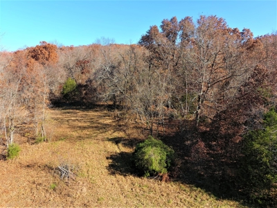 Missouri Hunting Property For Sale - image 14