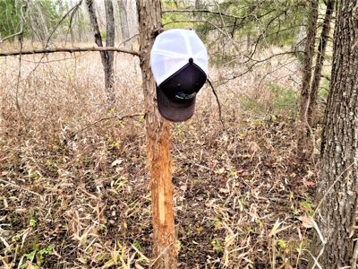 Missouri Hunting Property For Sale - image 38