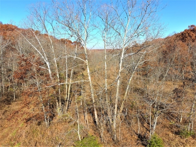 Missouri Hunting Property For Sale - image 15