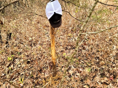 Missouri Hunting Property For Sale - image 42