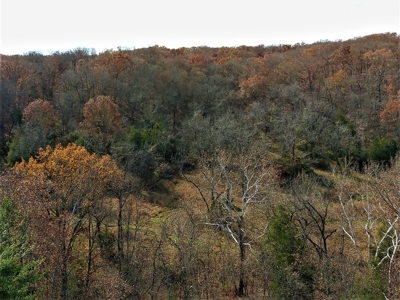 Missouri Hunting Property For Sale - image 20