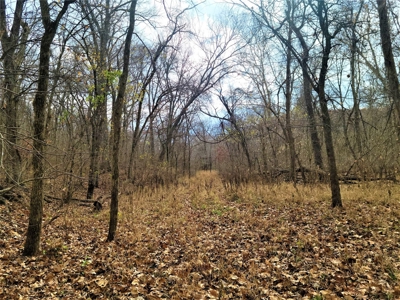 Missouri Hunting Property For Sale - image 47
