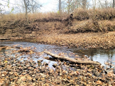 Missouri Hunting Property For Sale - image 44