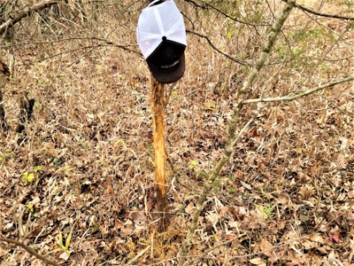 Missouri Hunting Property For Sale - image 39