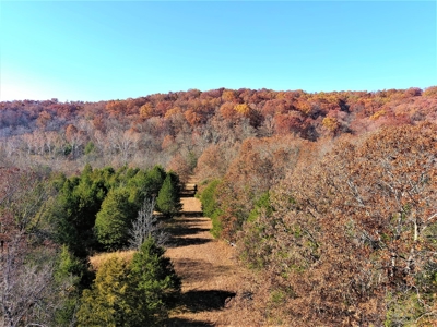 Missouri Hunting Property For Sale - image 13