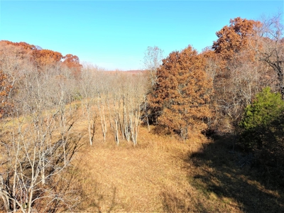Missouri Hunting Property For Sale - image 16