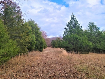 Missouri Hunting Property For Sale - image 41