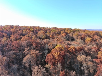 Missouri Hunting Property For Sale - image 7