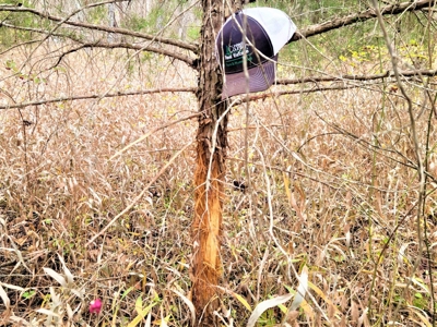 Missouri Hunting Property For Sale - image 37