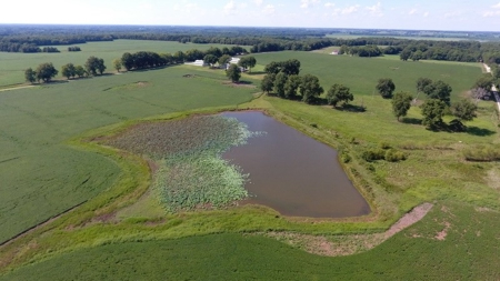 Horse Property, Country Home, & Crop Land St Clair County MO - image 8