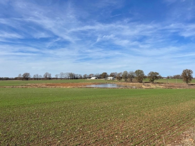Horse Property, Country Home, & Crop Land St Clair County MO - image 35