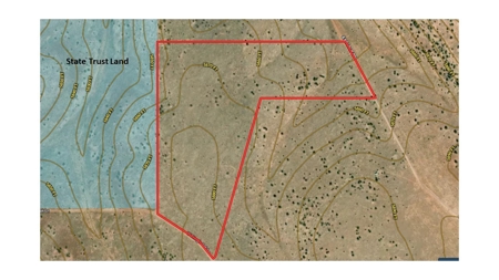 Large Acreage Near Williams AZ - Borders Public Lands - image 2