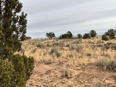 Large Acreage Near Williams AZ - Borders Public Lands - image 10