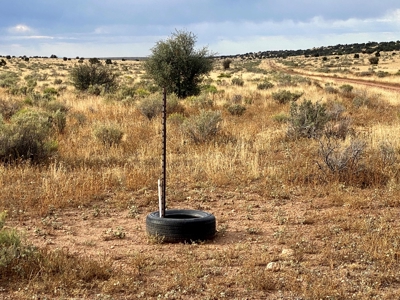 Large Acreage Near Williams AZ - Borders Public Lands - image 3
