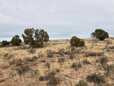 Large Acreage Near Williams AZ - Borders Public Lands - image 9