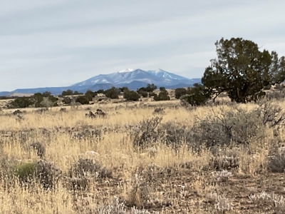 Large Acreage Near Williams AZ - Borders Public Lands - image 8