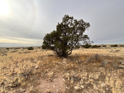 Large Acreage Near Williams AZ - Borders Public Lands - image 11