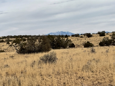 Large Acreage Near Williams AZ - Borders Public Lands - image 12