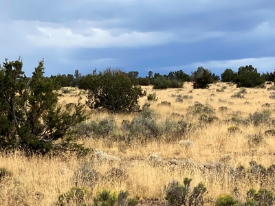 Large Acreage Near Williams AZ - Borders Public Lands - image 4