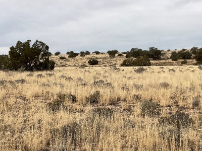 Large Acreage Near Williams AZ - Borders Public Lands - image 17