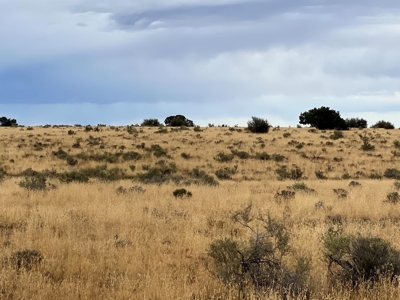 Large Acreage Near Williams AZ - Borders Public Lands - image 6