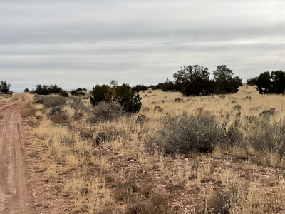 Large Acreage Near Williams AZ - Borders Public Lands - image 16
