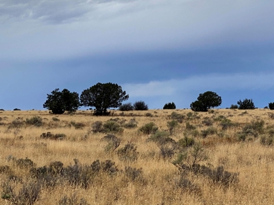 Large Acreage Near Williams AZ - Borders Public Lands - image 5