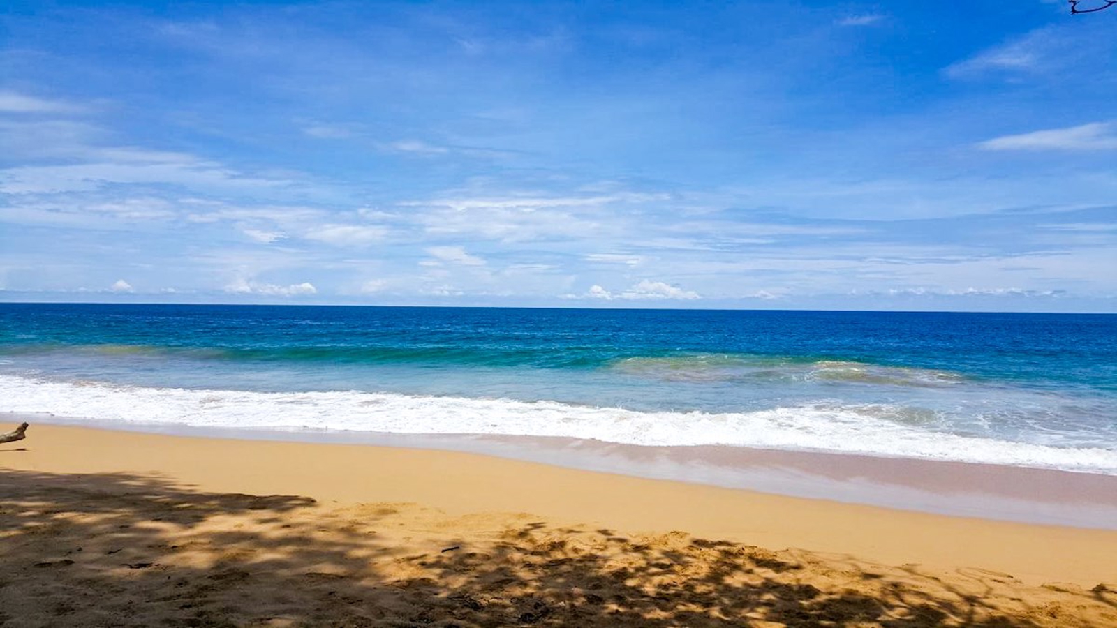 Titled Bluff Beach Lot #9, 4,284 m² — Isla Colón - 5