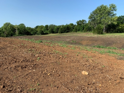 Online Only Auction Greenhouses on 10 +/- Acres Overbrook KS - image 15