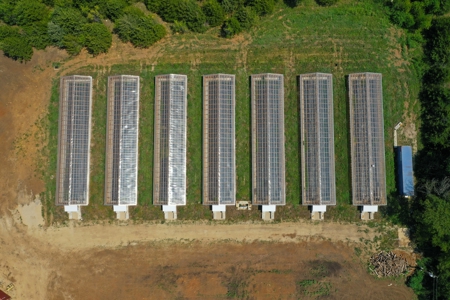 Online Only Auction Greenhouses on 10 +/- Acres Overbrook KS - image 7