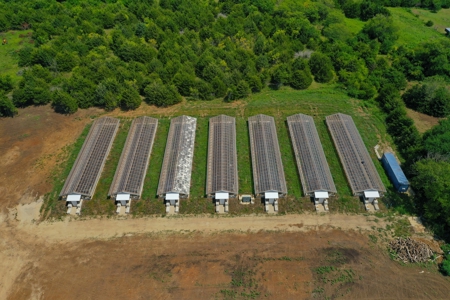 Online Only Auction Greenhouses on 10 +/- Acres Overbrook KS - image 6