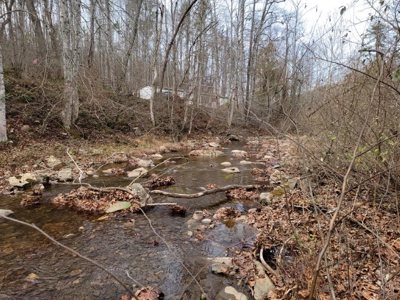 2 Homes on Big Macks Creek in Hiwassee VA! - image 4