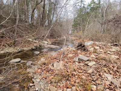 2 Homes on Big Macks Creek in Hiwassee VA! - image 6