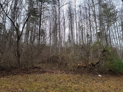 2 Homes on Big Macks Creek in Hiwassee VA! - image 25