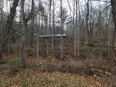 2 Homes on Big Macks Creek in Hiwassee VA! - image 2