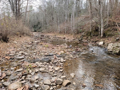 2 Homes on Big Macks Creek in Hiwassee VA! - image 5